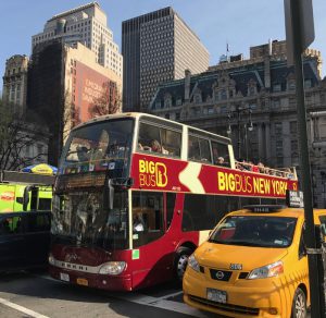 Sightseeing Bus